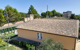 L'Aia